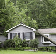Tree fallen on residential home roof after storm damage