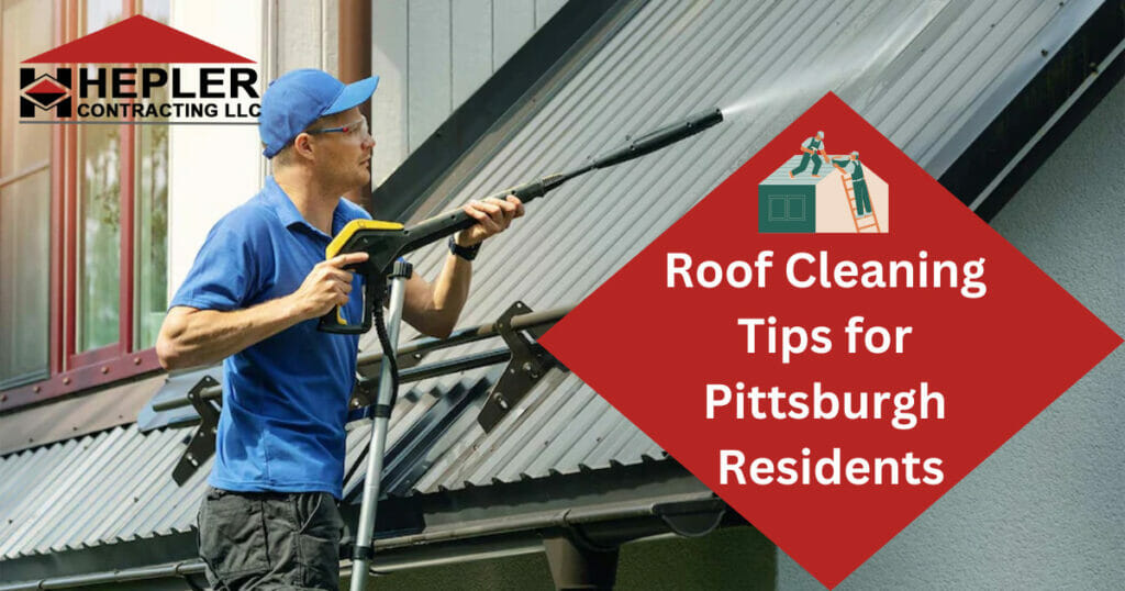 Roof Cleaning