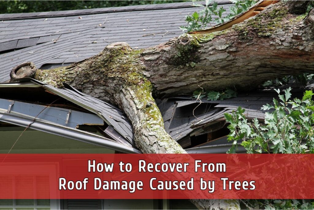 Roof severely damaged by tree