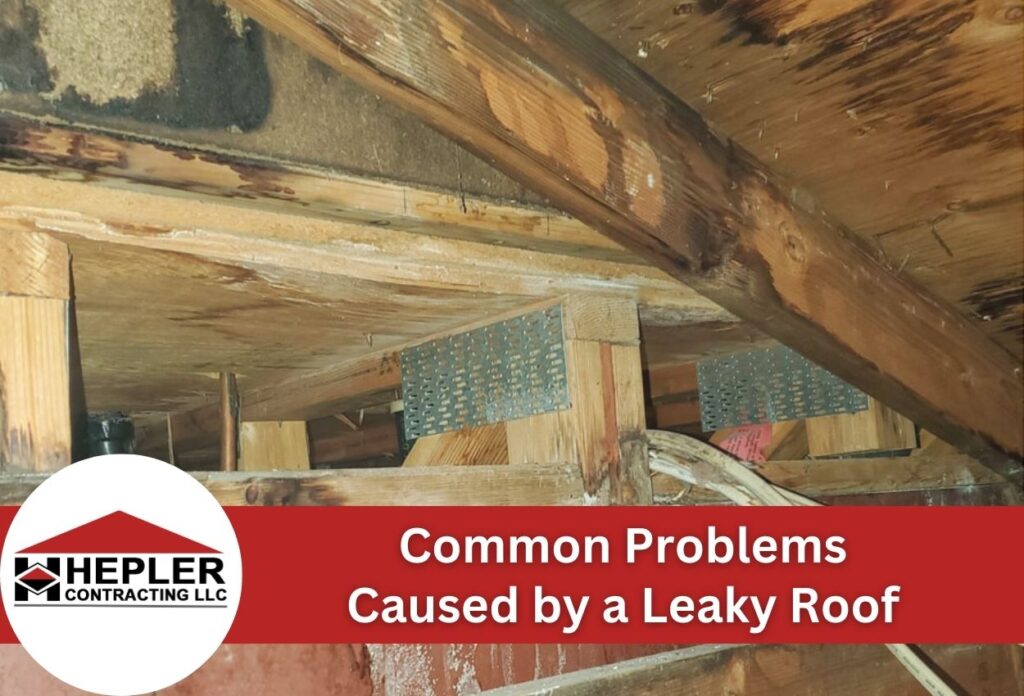 Common Problems Caused by a Leaky Roof