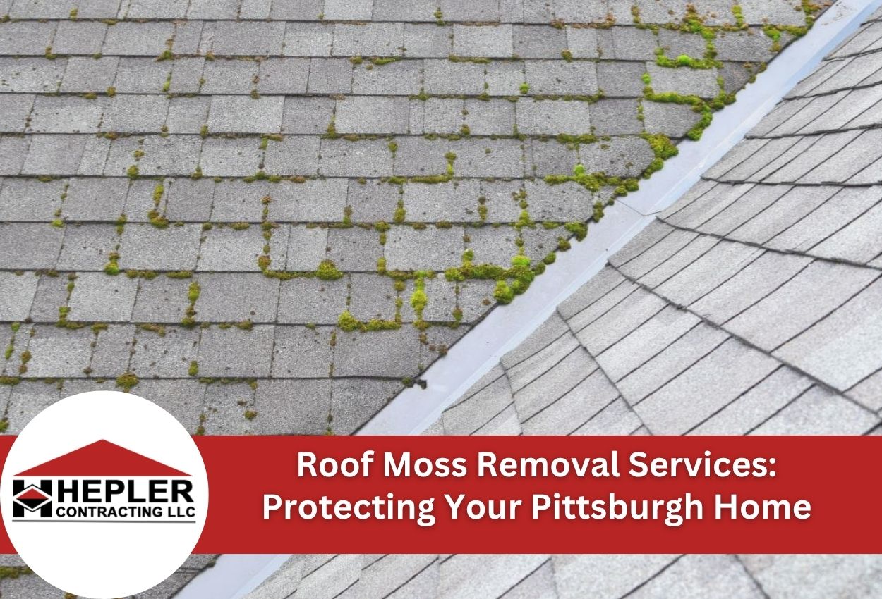 Roof Moss Removal Services: Protecting Your Pittsburgh Home
